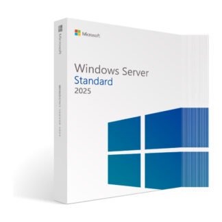 Caja de Microsoft Windows Server 2025 Standard – Licencia Permanente